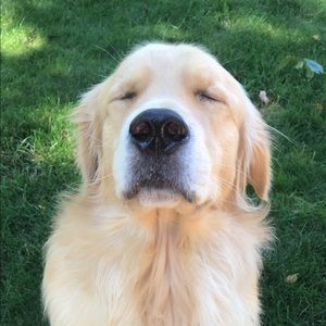 Meet your Posher, Grace